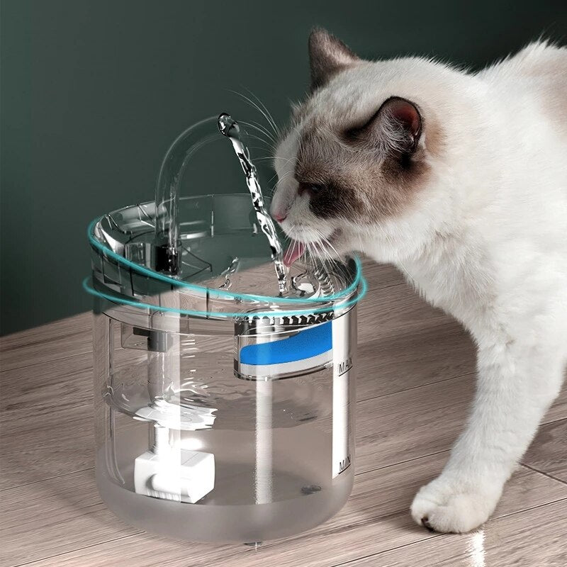 Distributeur d'eau pour animaux de compagnie à température constante avec circulation automatique intelligente