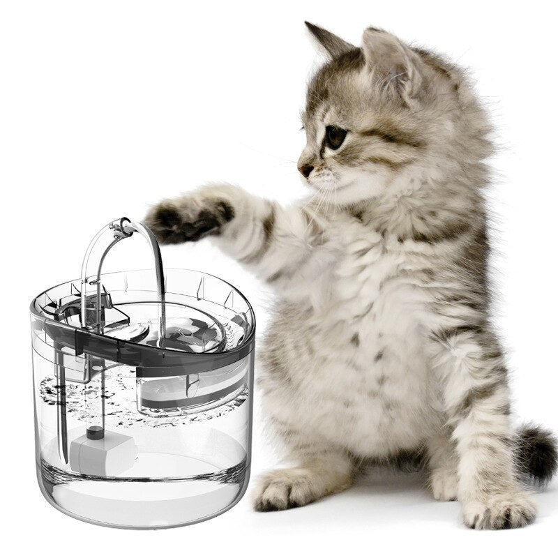 Distributeur d'eau pour animaux de compagnie à température constante avec circulation automatique intelligente