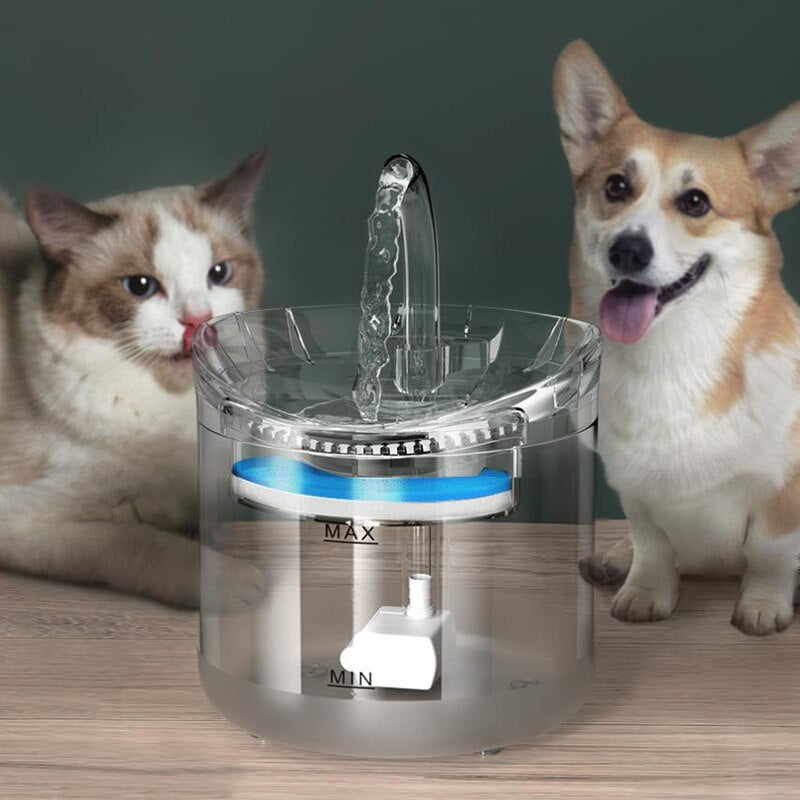 Distributeur d'eau pour animaux de compagnie à température constante avec circulation automatique intelligente